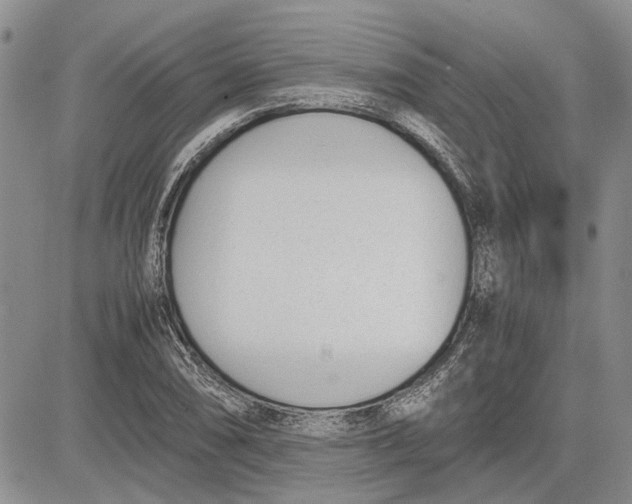 X0000081571074200702051208