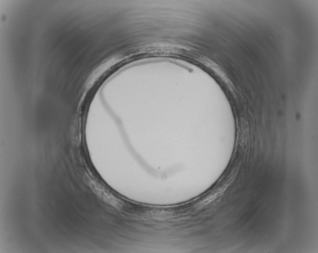 X0000081571075200702051208