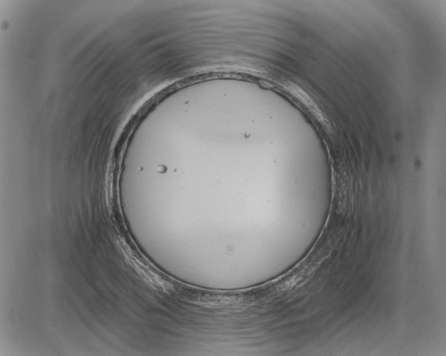 X0000081571076200702051208