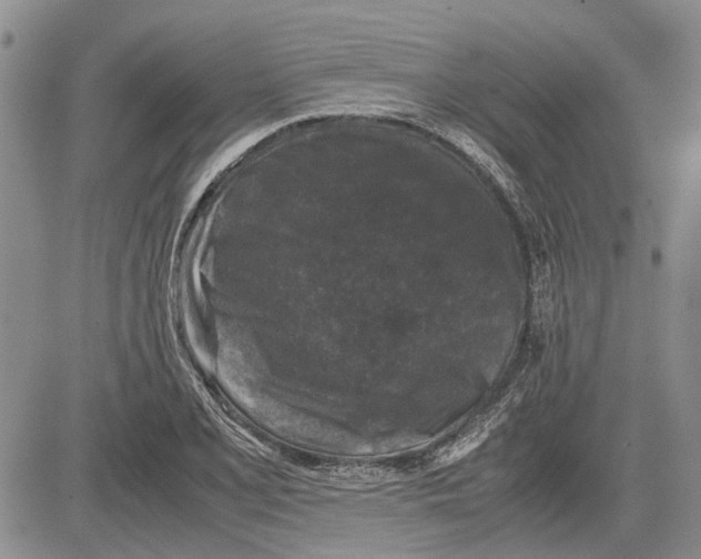 X0000081571077200702051208