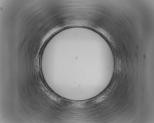 X0000081571078200702051208