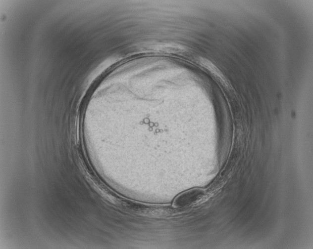 X0000081571079200702051208