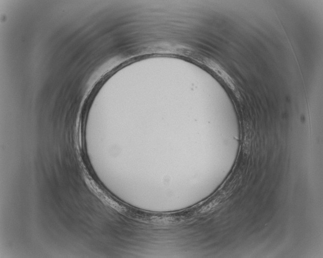 X0000081571080200702051208