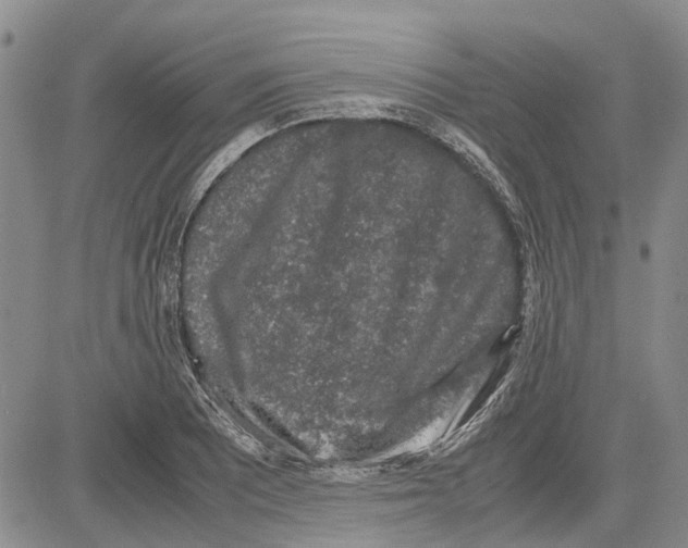 X0000081571081200702051208