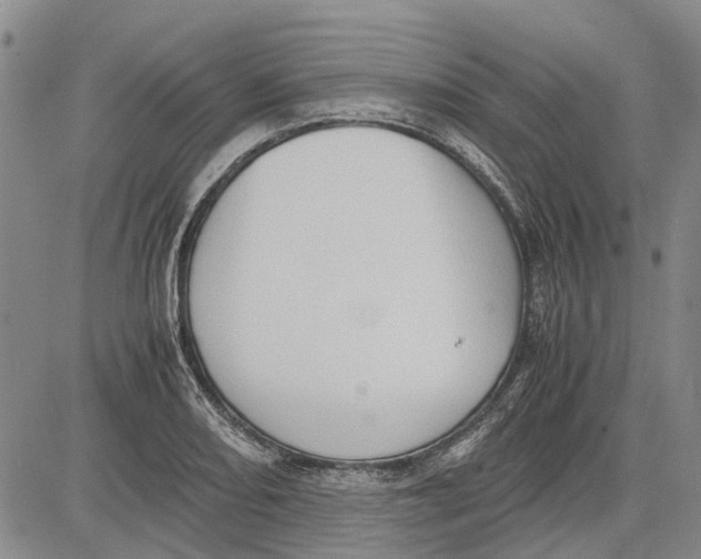 X0000081571082200702051208