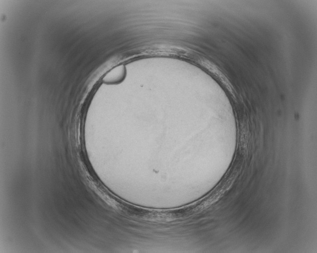 X0000081571083200702051208