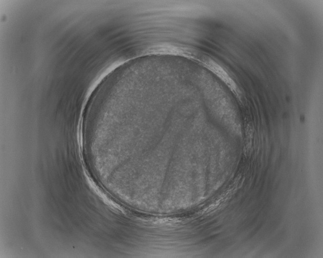 X0000081571084200702051208