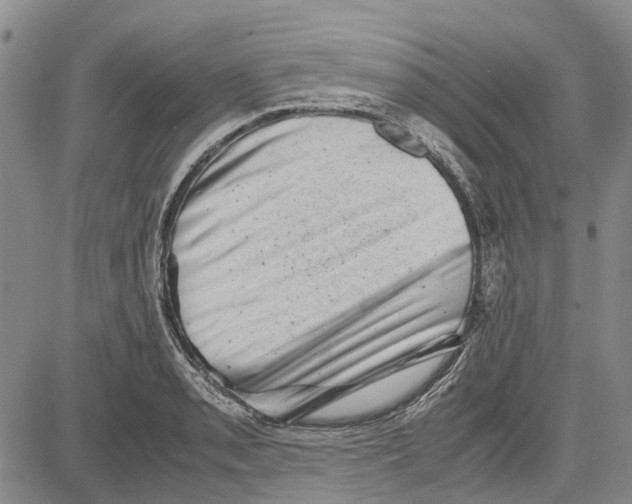 X0000081571085200702051208