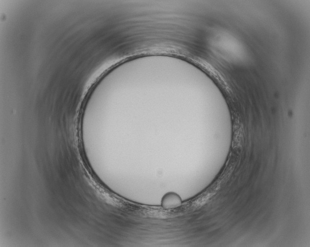 X0000081571086200702051208