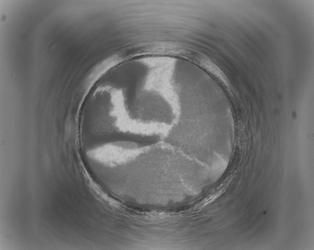 X0000081571087200702051208