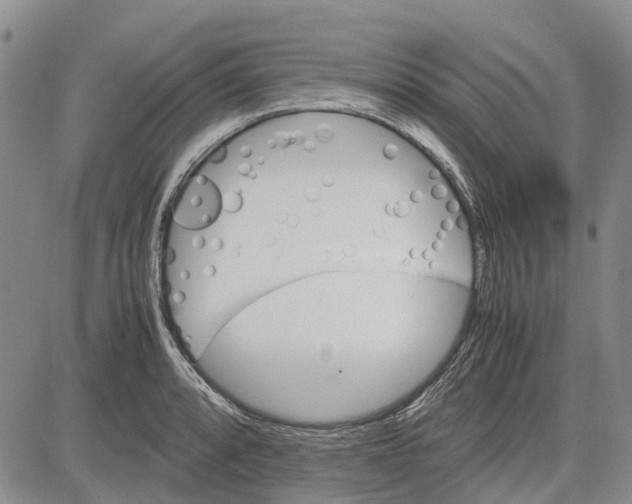 X0000081571088200702051208