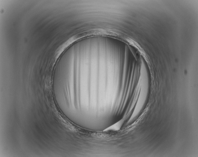 X0000081571089200702051208