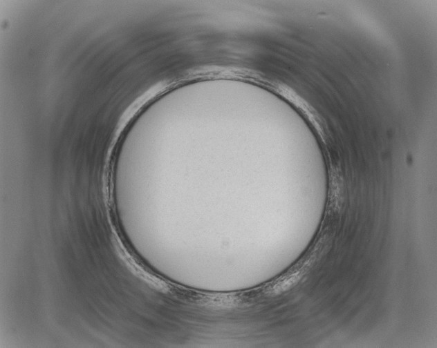 X0000081571090200702051208