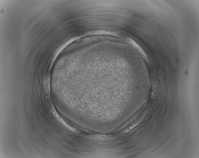 X0000081571092200702051208