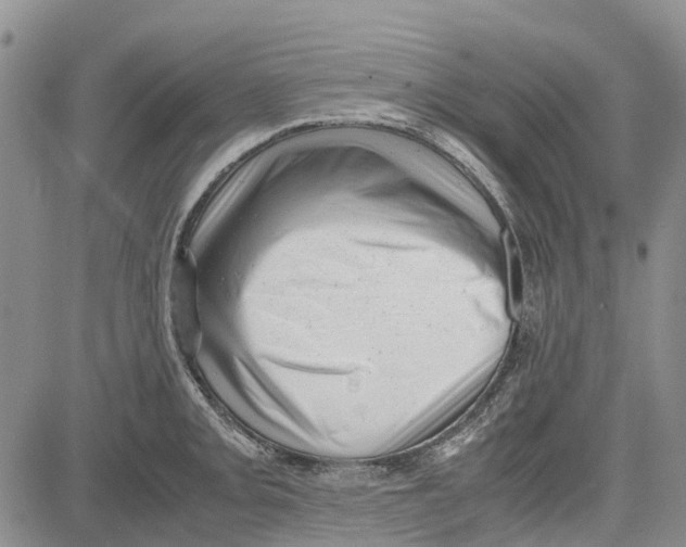 X0000081571093200702051208