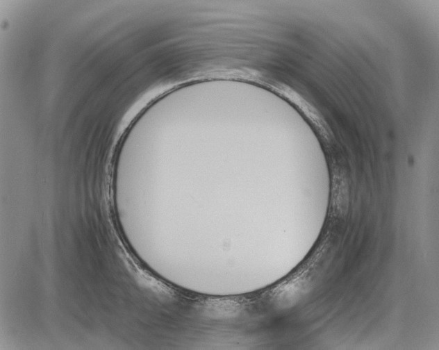 X0000081571094200702051208