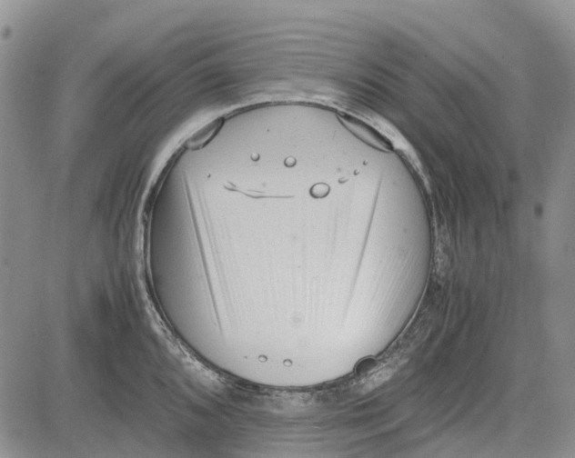 X0000081571096200702051208