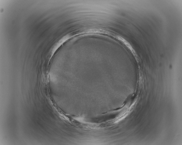 X0000081571097200702051208