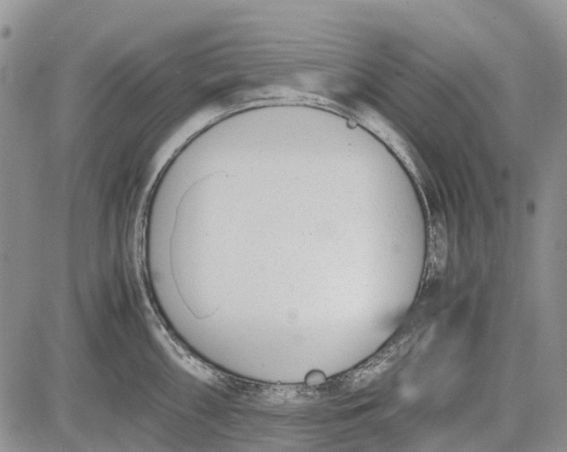 X0000081571098200702051208