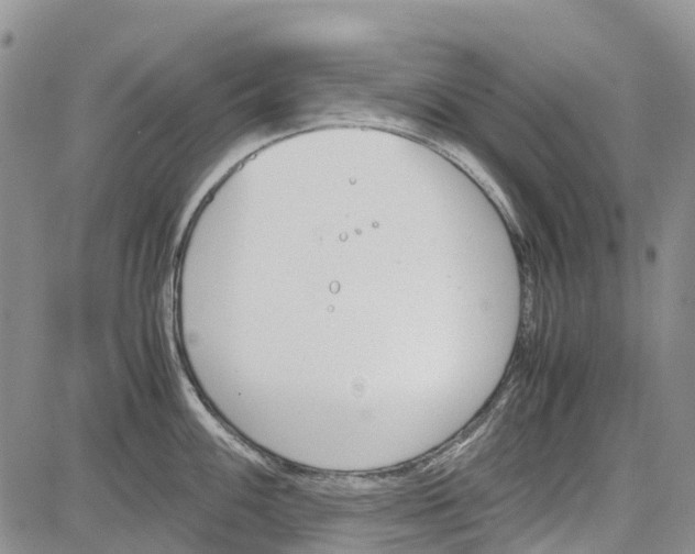 X0000081571100200702051208