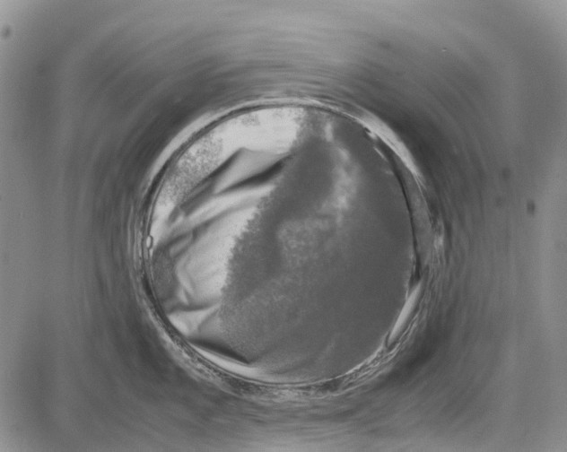 X0000081571101200702051208