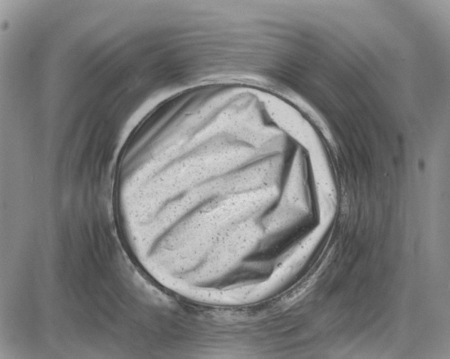 X0000081571102200702051208