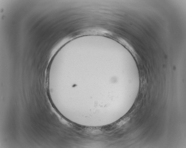 X0000081571103200702051208