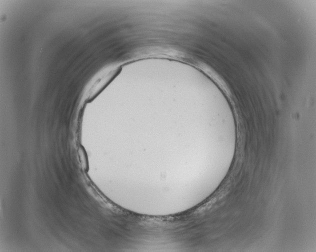 X0000081571104200702051208