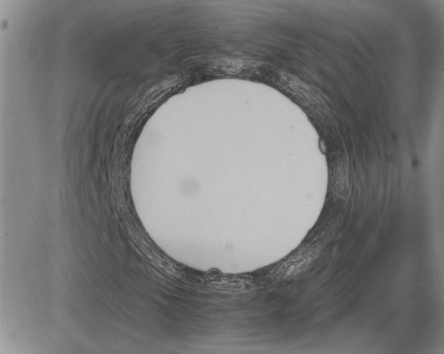 X0000081571105200702051207