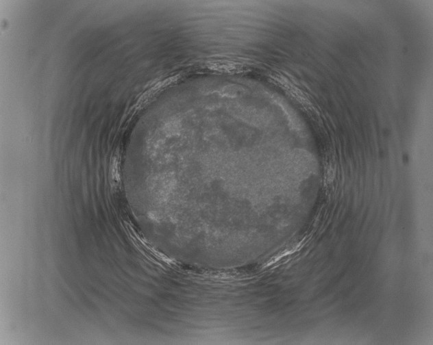 X0000081571106200702051207