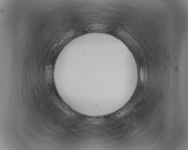 X0000081571107200702051207