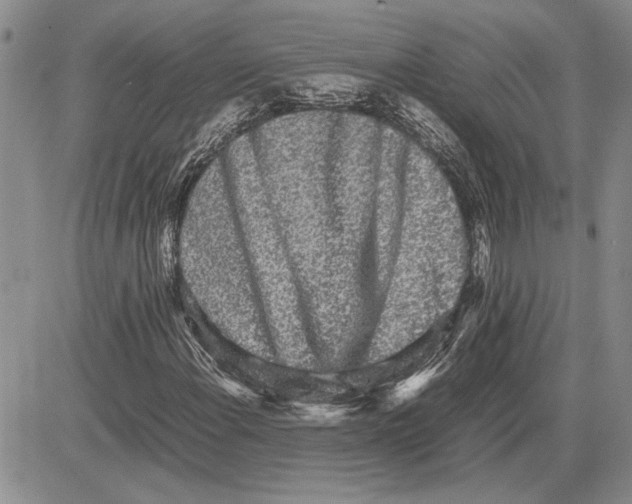 X0000081571108200702051207