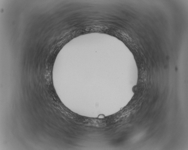 X0000081571109200702051207