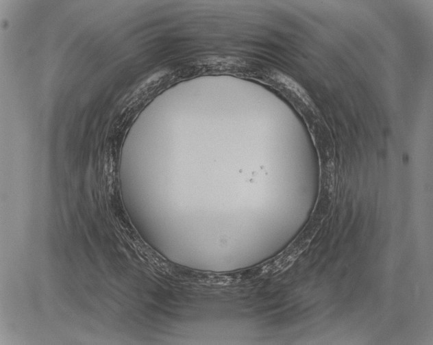 X0000081571111200702051207