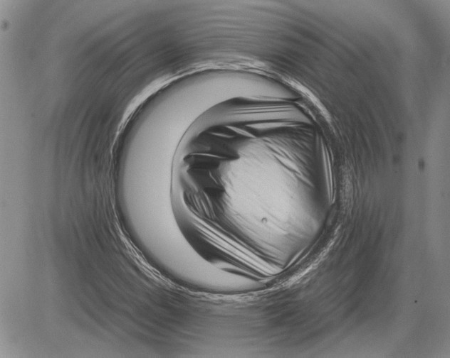 X0000081571114200702051207