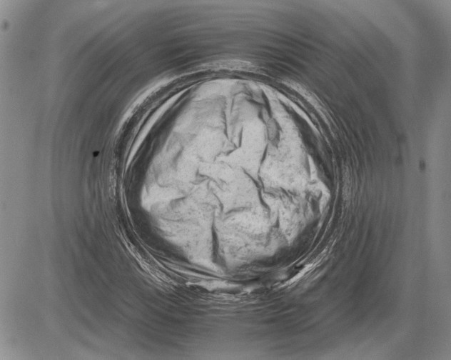 X0000081571115200702051207