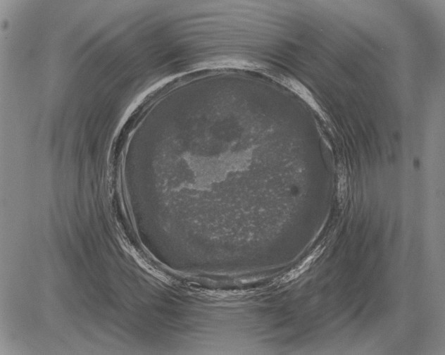 X0000081571116200702051207