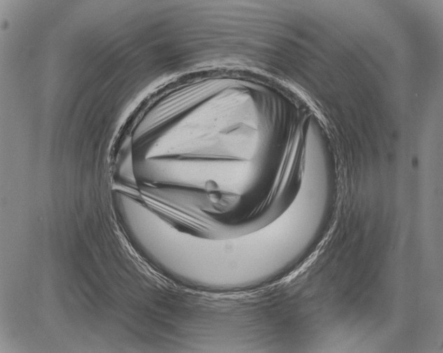 X0000081571118200702051207