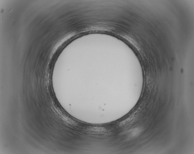 X0000081571119200702051207