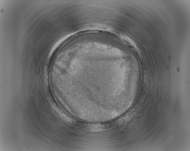 X0000081571120200702051207