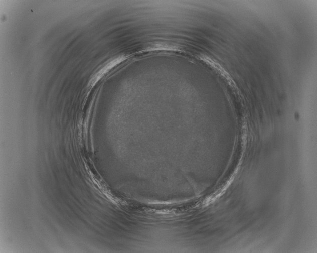 X0000081571121200702051207