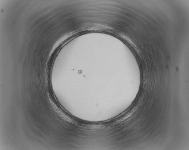 X0000081571122200702051207