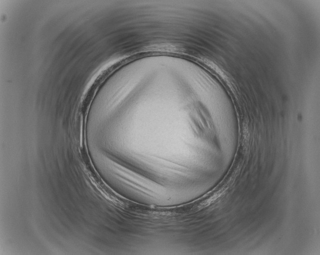 X0000081571123200702051207