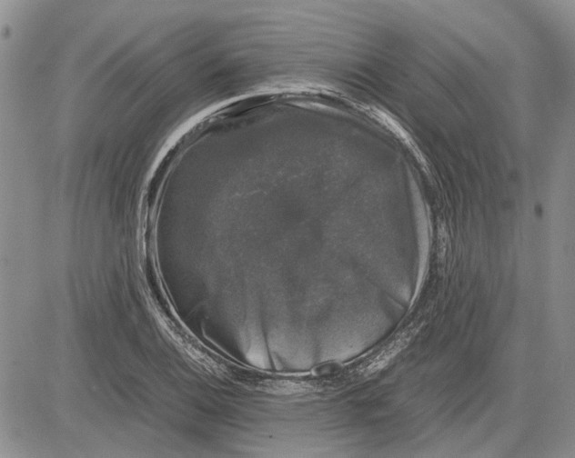 X0000081571124200702051207