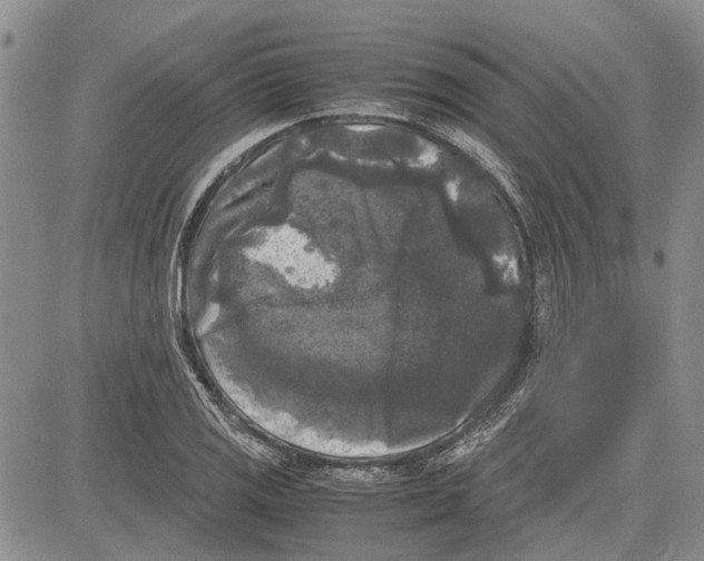 X0000081571125200702051207