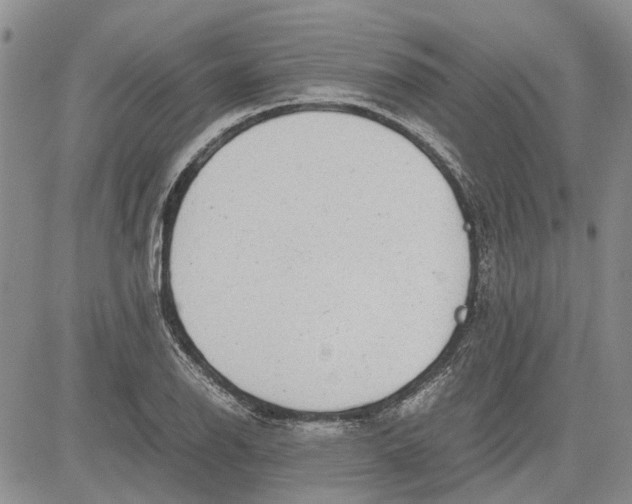 X0000081571126200702051207