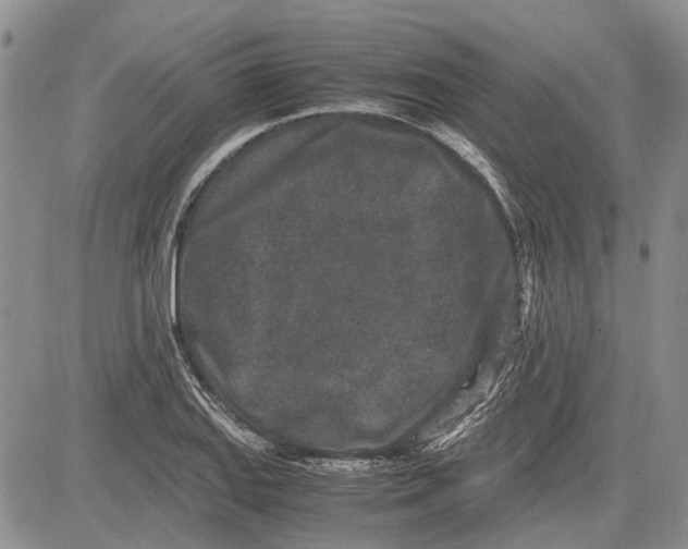 X0000081571127200702051207