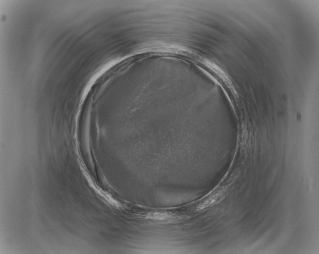 X0000081571128200702051207