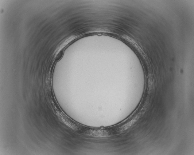 X0000081571129200702051207