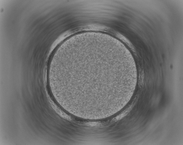 X0000081571130200702051207